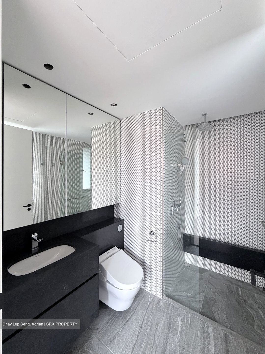 10 Evelyn (D11), Apartment #554617041